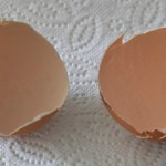 Investigadores chilenos obtienen un film biodegradable a partir de cáscaras de huevo