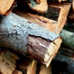 La biomasa puede atender la demanda energética de España de casi un mes