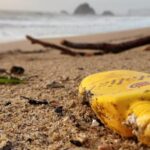 Proyecto para evitar que los envases plásticos se hundan y facilitar su recuperación