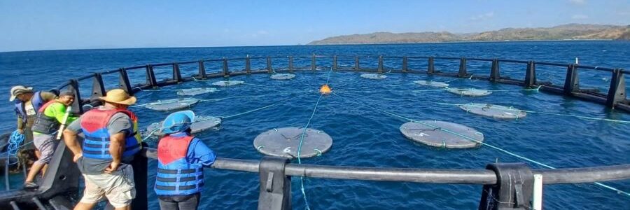 Nuevos materiales biodegradables para una pesca de atún más sostenible
