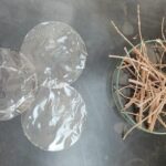 Obtienen un bioplástico transparente a partir de residuos de la poda del olivar
