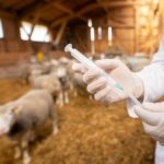 El Laboratorio Agroalimentario de Cataluña, acreditado por ENAC en la transición al nuevo reglamento de control de residuos de medicamentos veterinarios