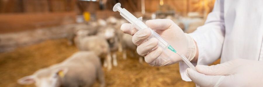 El Laboratorio Agroalimentario de Cataluña, acreditado por ENAC en la transición al nuevo reglamento de control de residuos de medicamentos veterinarios