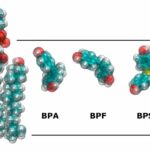 Los bisfenoles usados en los productos como alternativas seguras al BPA suponen también un riesgo para la salud