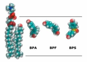 analizan el impacto en la salud de bisfenoles alternativos al BPA