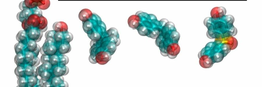 Los bisfenoles usados en los productos como alternativas seguras al BPA suponen también un riesgo para la salud