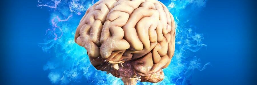 Encuentran microplásticos en el cerebro humano