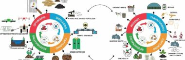 La transición a una bioeconomía circular requiere más incentivos e inversiones