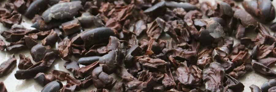 Cascarilla de cacao, de residuo de la industria chocolatera a materia prima para la obtención de bioplásticos