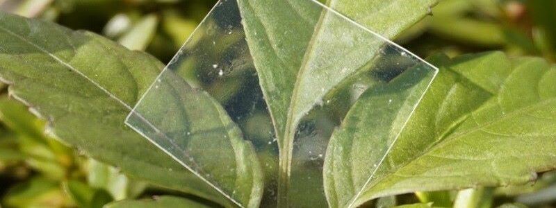 Científicos japoneses desarrollan un nuevo plástico reciclable y totalmente degradable en el mar