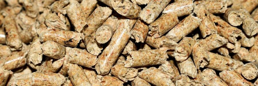 Bioenergy Ibérica firma un acuerdo de PPA con Talentya para su planta de pellets en Lugo