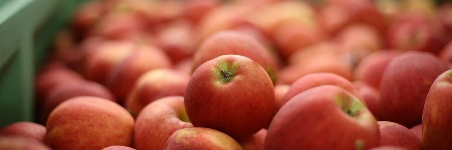 Barakaldo pondrá en marcha un proyecto contra el desperdicio de alimentos con máquinas expendedoras