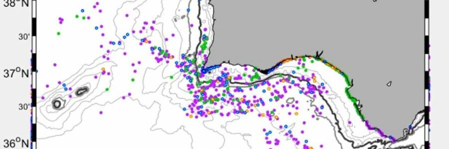 El Guadalquivir y el Guadiana, principales vías de entrada de microplásticos al golfo de Cádiz