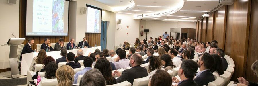 Valencia acogerá en febrero el VII encuentro sobre plásticos y economía circular